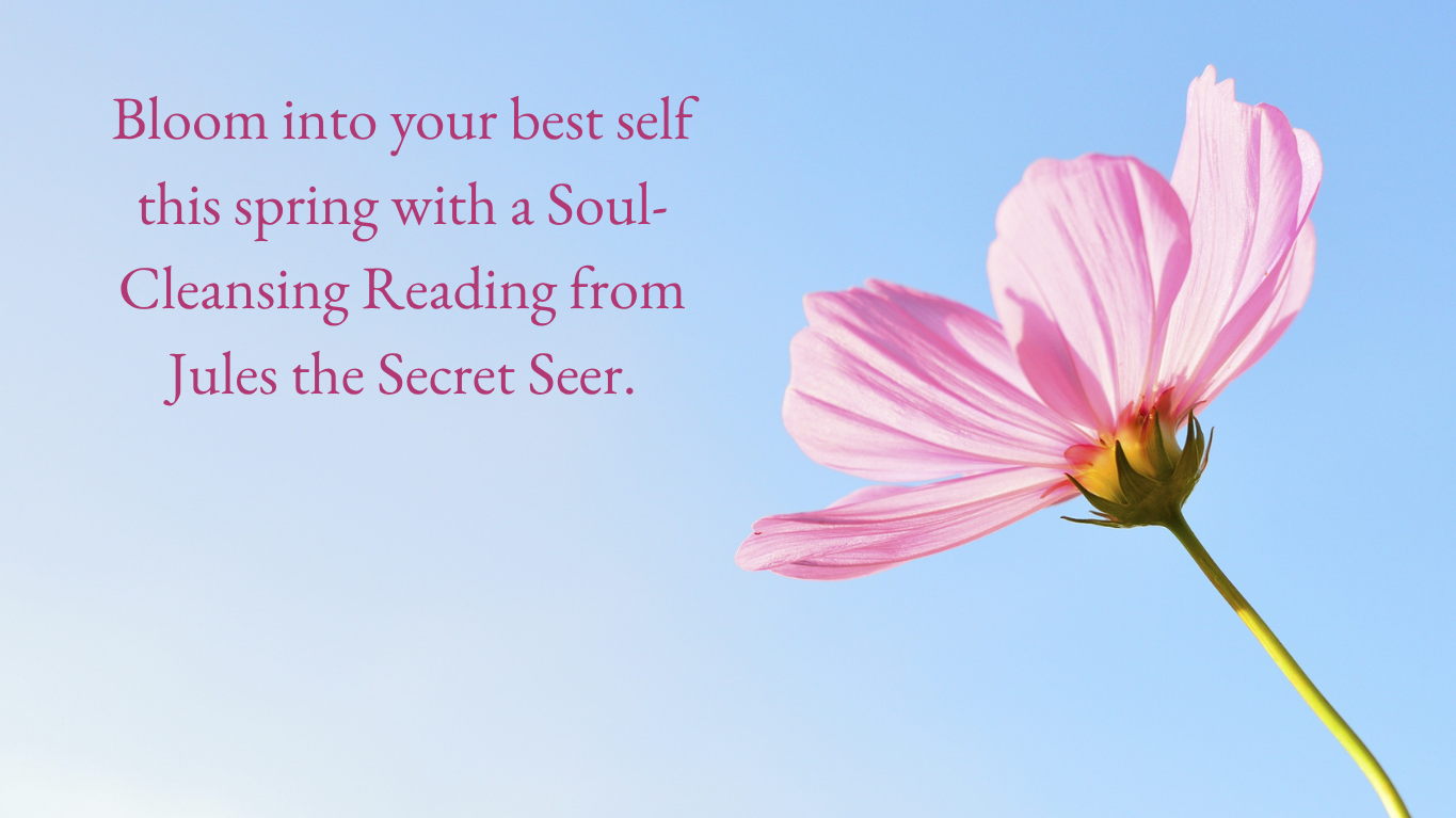 secret seer flower banner.